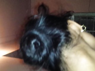 Spillet american dragon porno, indisk voksne damer og gutter porno