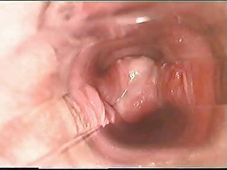 Porno vidio mor og sønn inne i fitta gjennom menn l7 rare tid